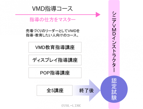 VMD指導コース